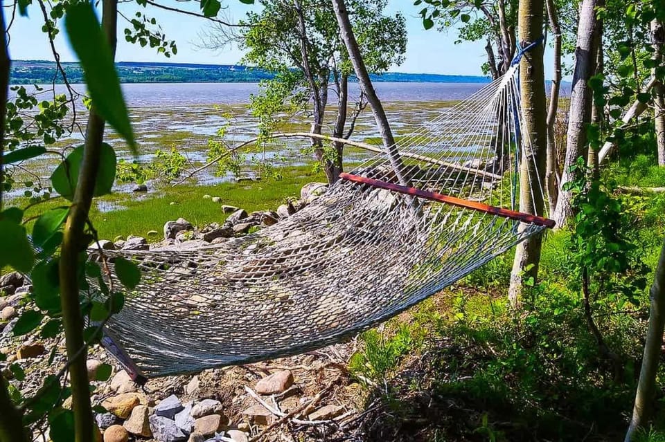 Studio 16 - 2 min du Bord de l'eau & Foyer & Barbecue Apartment in Maine