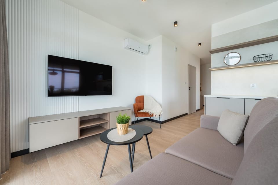 TV and multimedia