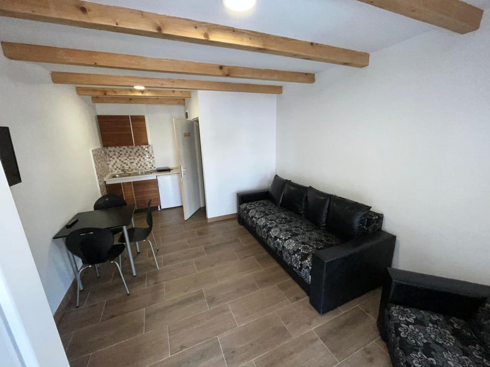 Studio Apartment in Serbia