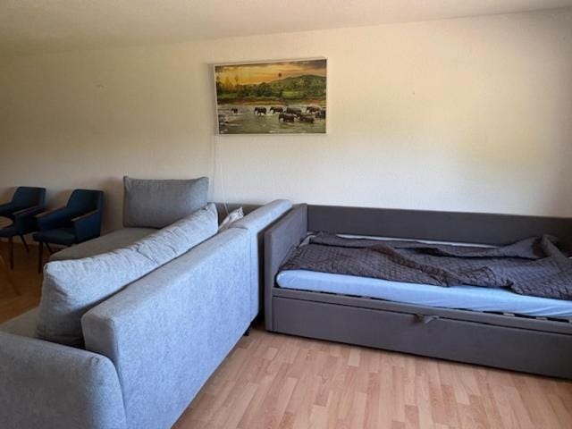 Bauernhof Apartment in Saxony