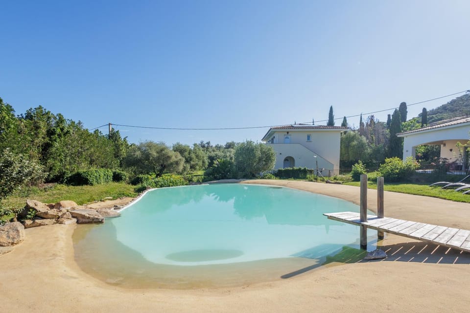 Pool view, Swimming pool