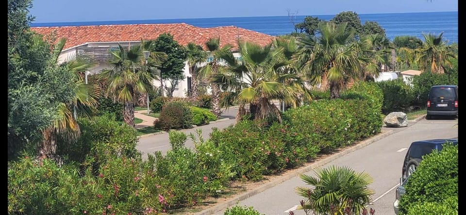 T2 terrasse piscine et plage Moriani Corse Apartment in Poggio-Mezzana