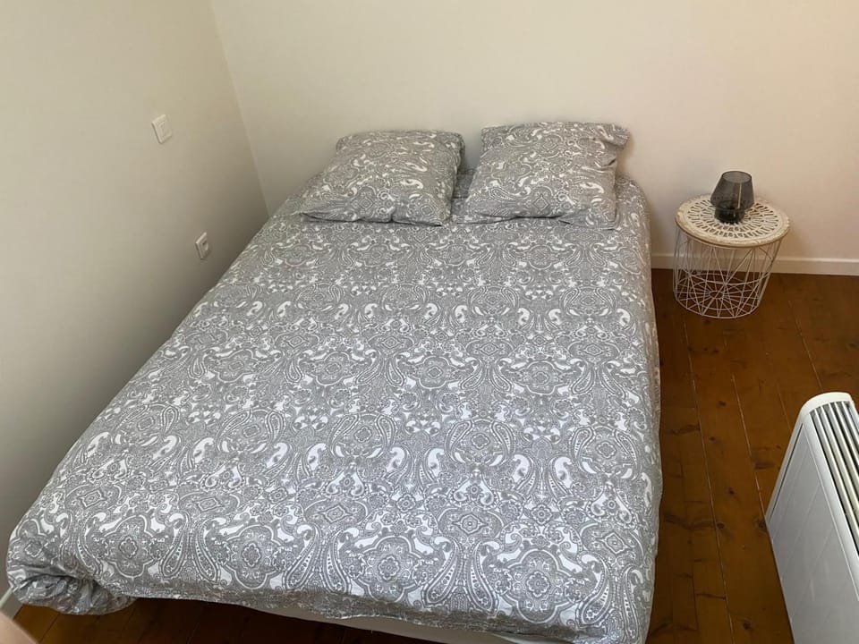 Le charmant troyen Apartment in Troyes