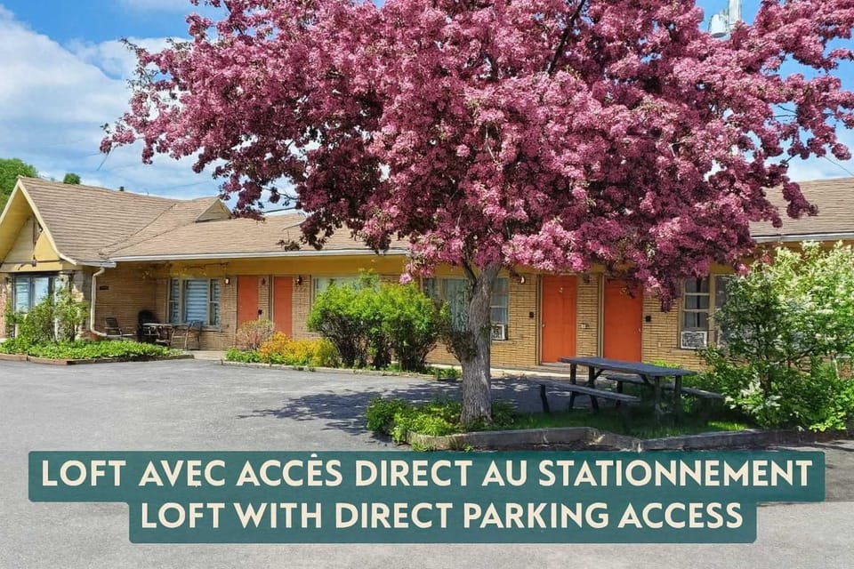Studio 8 - 2 min du Bord de l'eau Foyer & Barbecue Apartment in Maine
