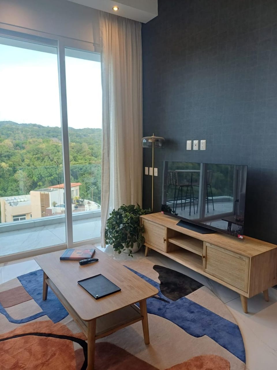 TV and multimedia, Living room