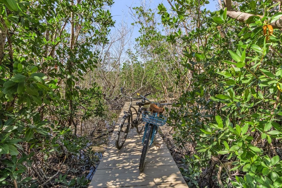 Combined Villas, Close to Beach, Secluded Pier - Blue Bayou Shores - Roelens House in Estero Island