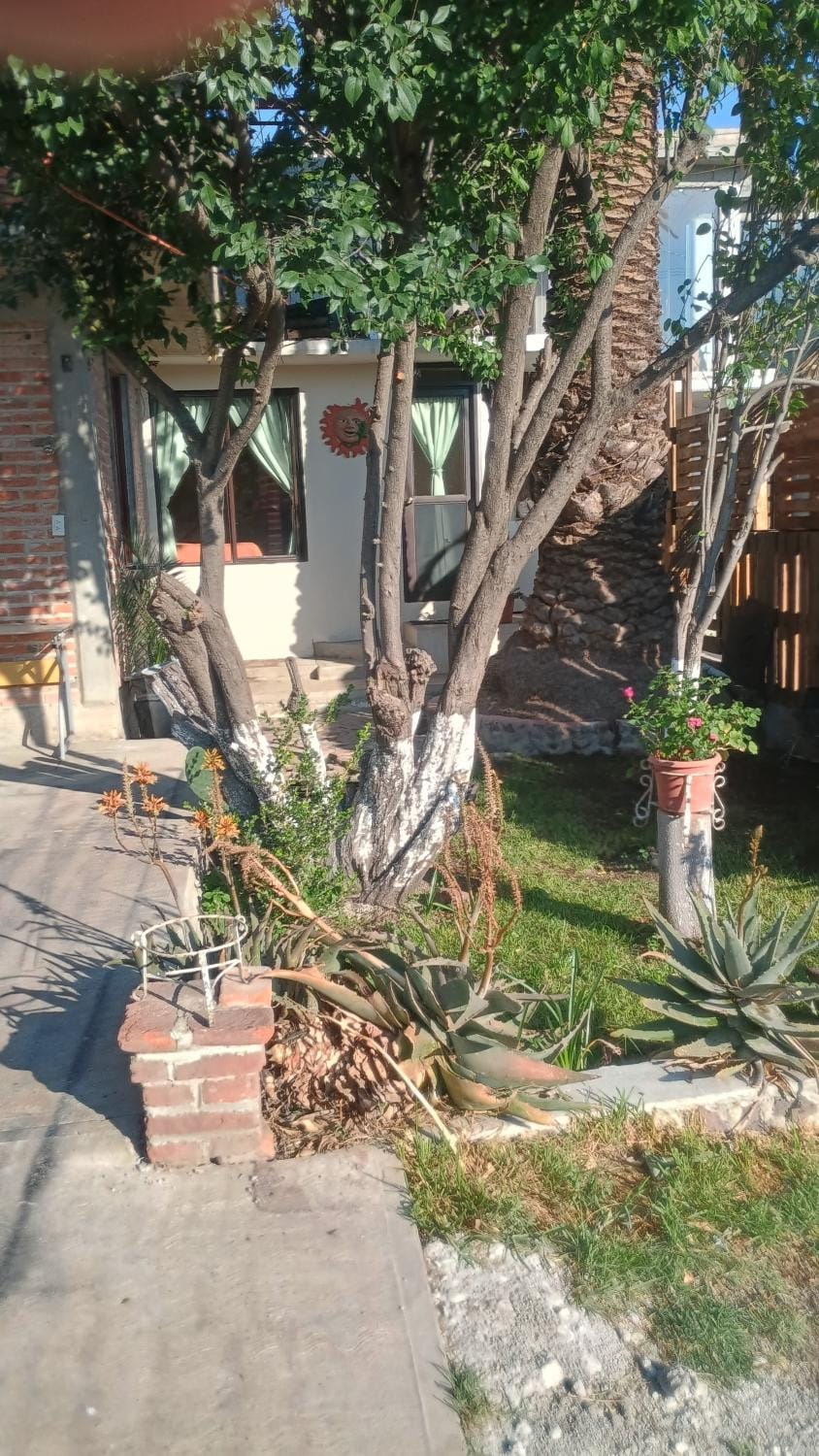 Chantli Ilamatl casa de la abuela Vacation rental in Hidalgo, Mexico