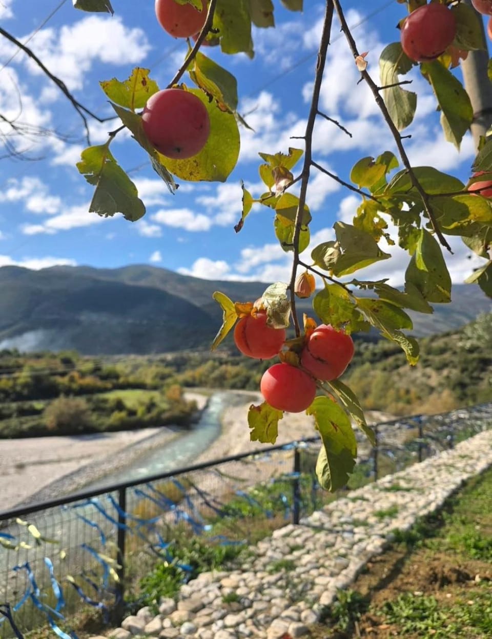 Day, Natural landscape, Mountain view