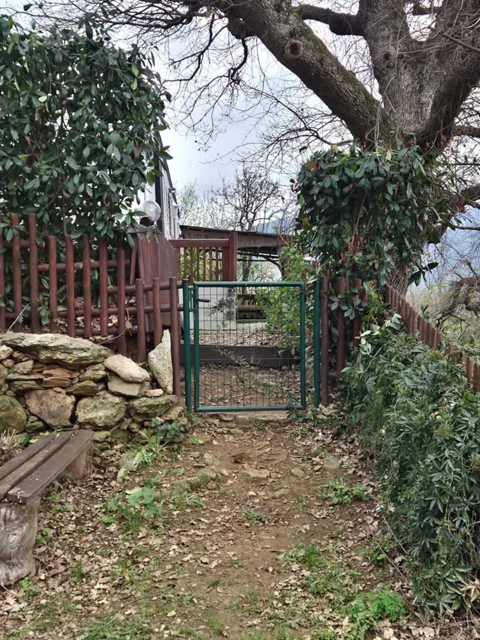 Natural landscape, Garden view
