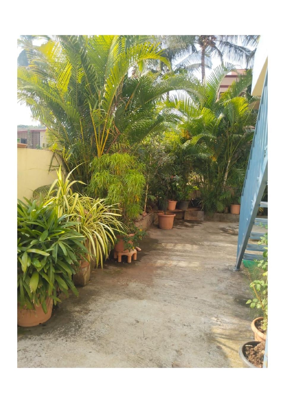 Spring, Day, Garden, Garden view