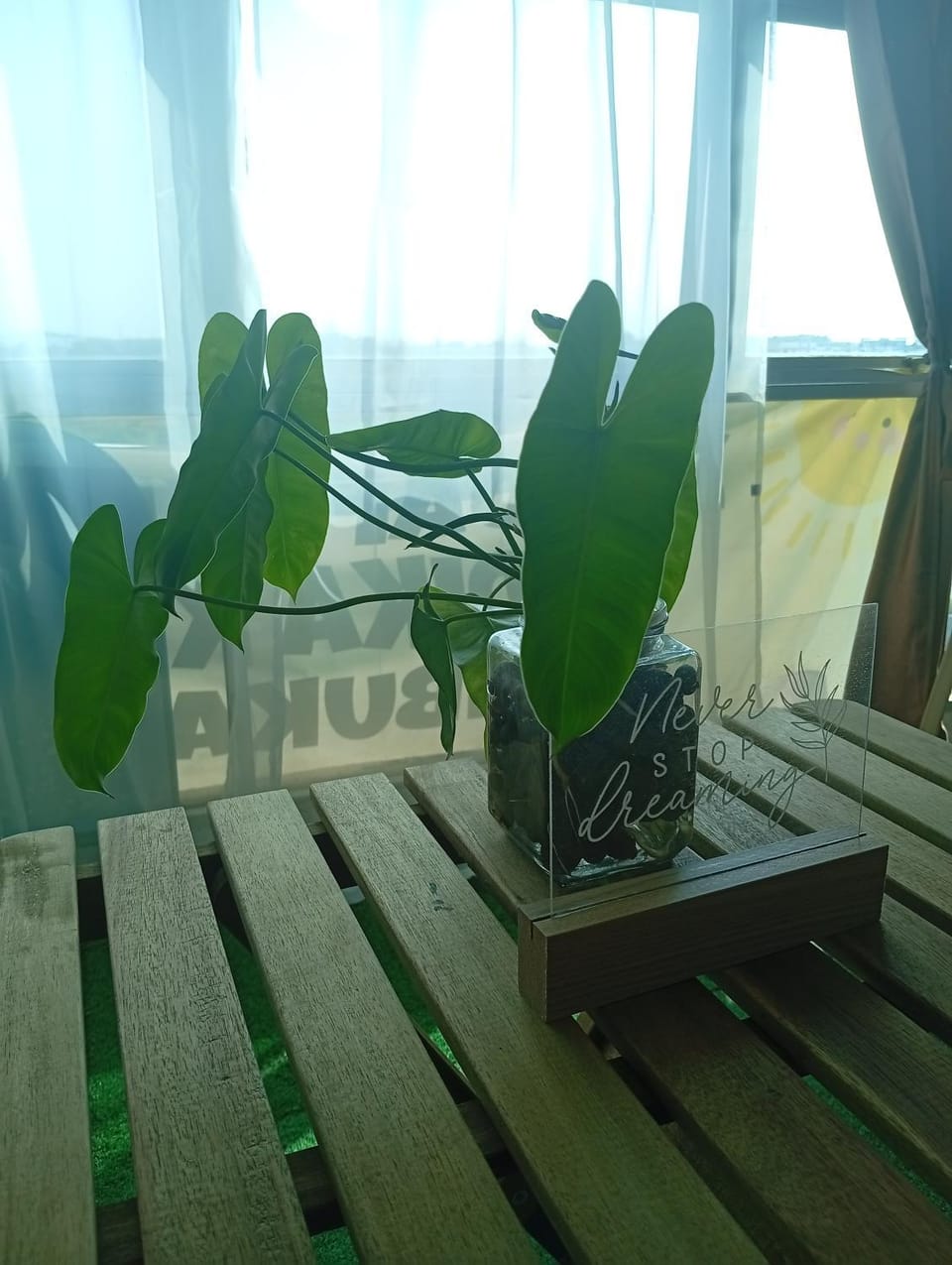 Garden, Living room