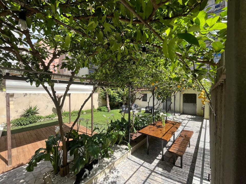 Patio, Garden