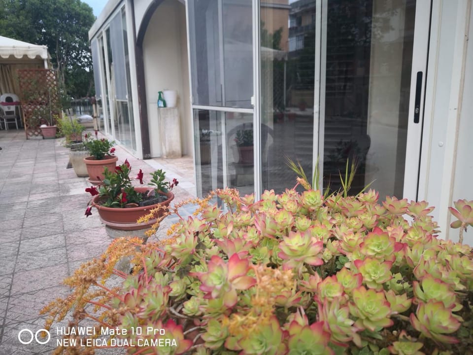 Property building, Garden view