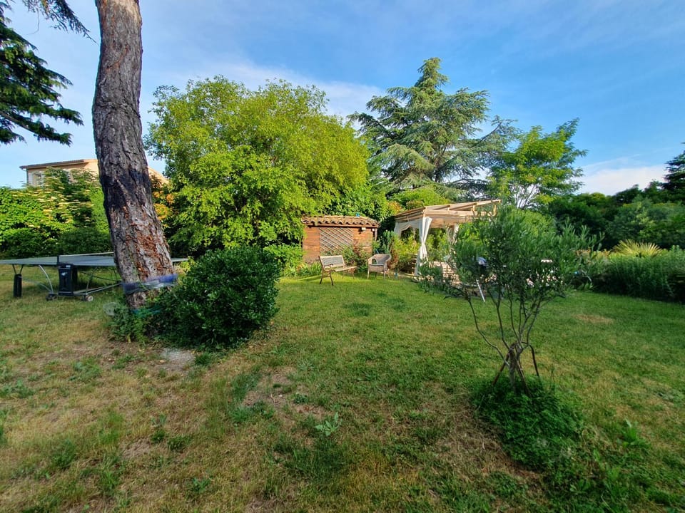 BBQ facilities, Garden