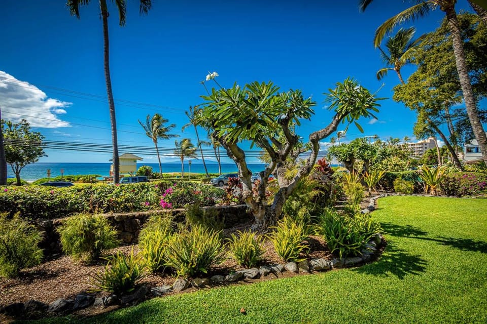 Kihei Akahi A-105 by Coldwell Banker Island Vacations Apartment in Wailea