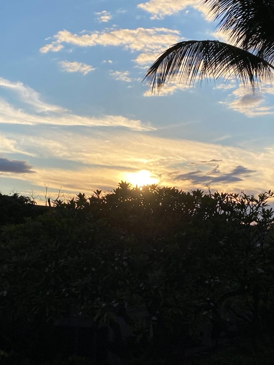 Kihei Akahi C-317 by Coldwell Banker Island Vacations Apartment in Wailea