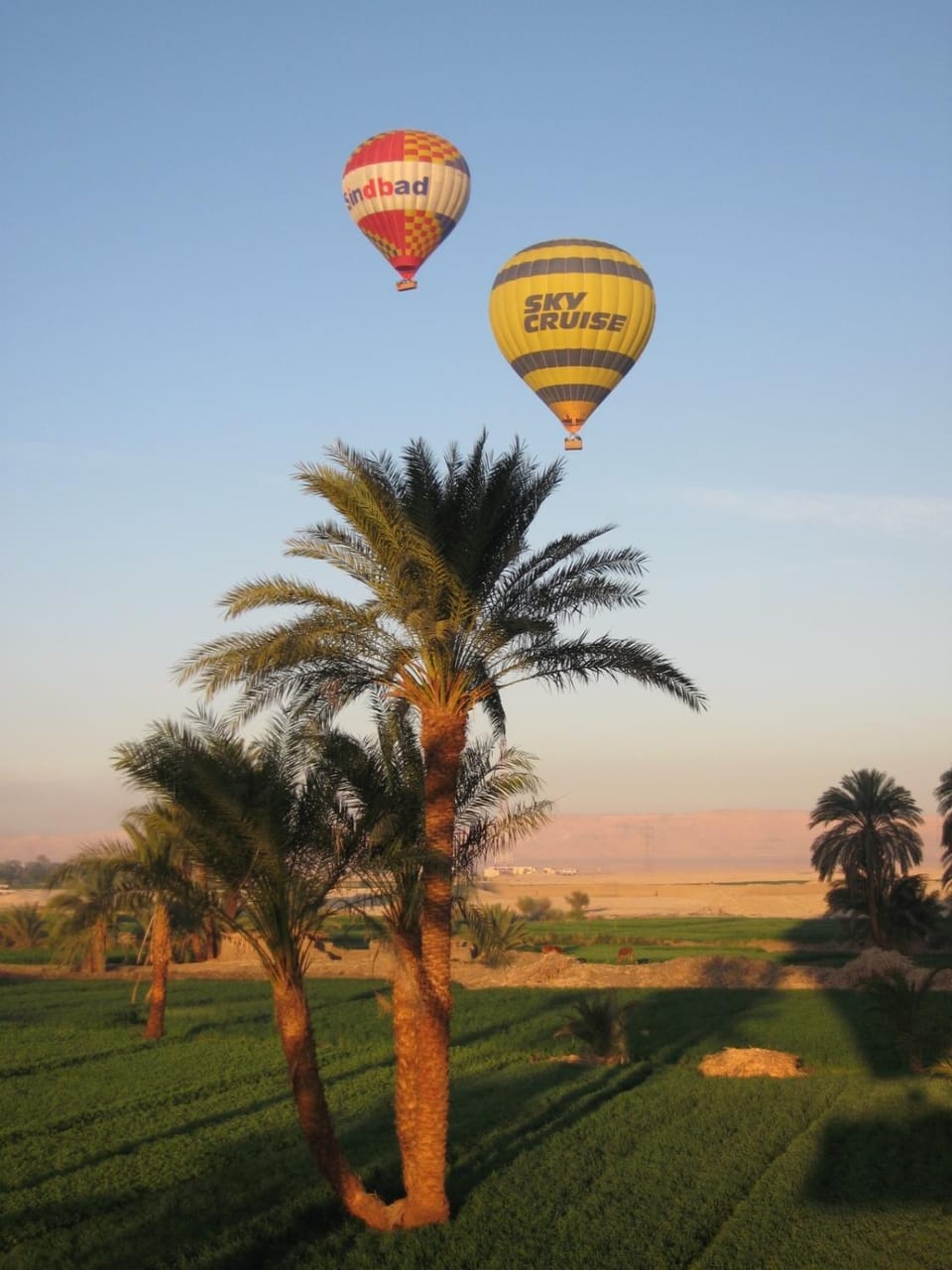 Activities, Sunrise