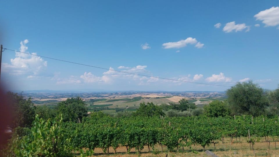 Agriturismo Villa Paradisino MUSICO Farm Stay in Tuscany