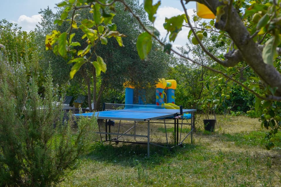 Table tennis