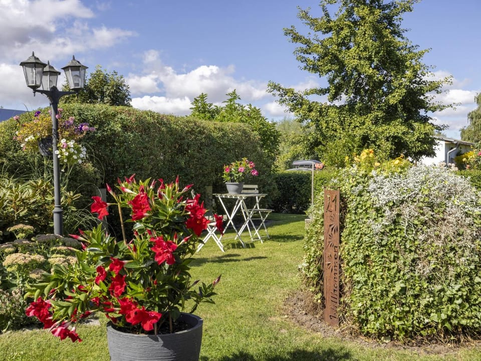 Summer, Garden