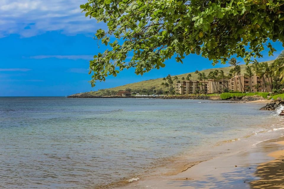 Lauloa 407 by Coldwell Banker Island Vacations Apartment in Maalaea