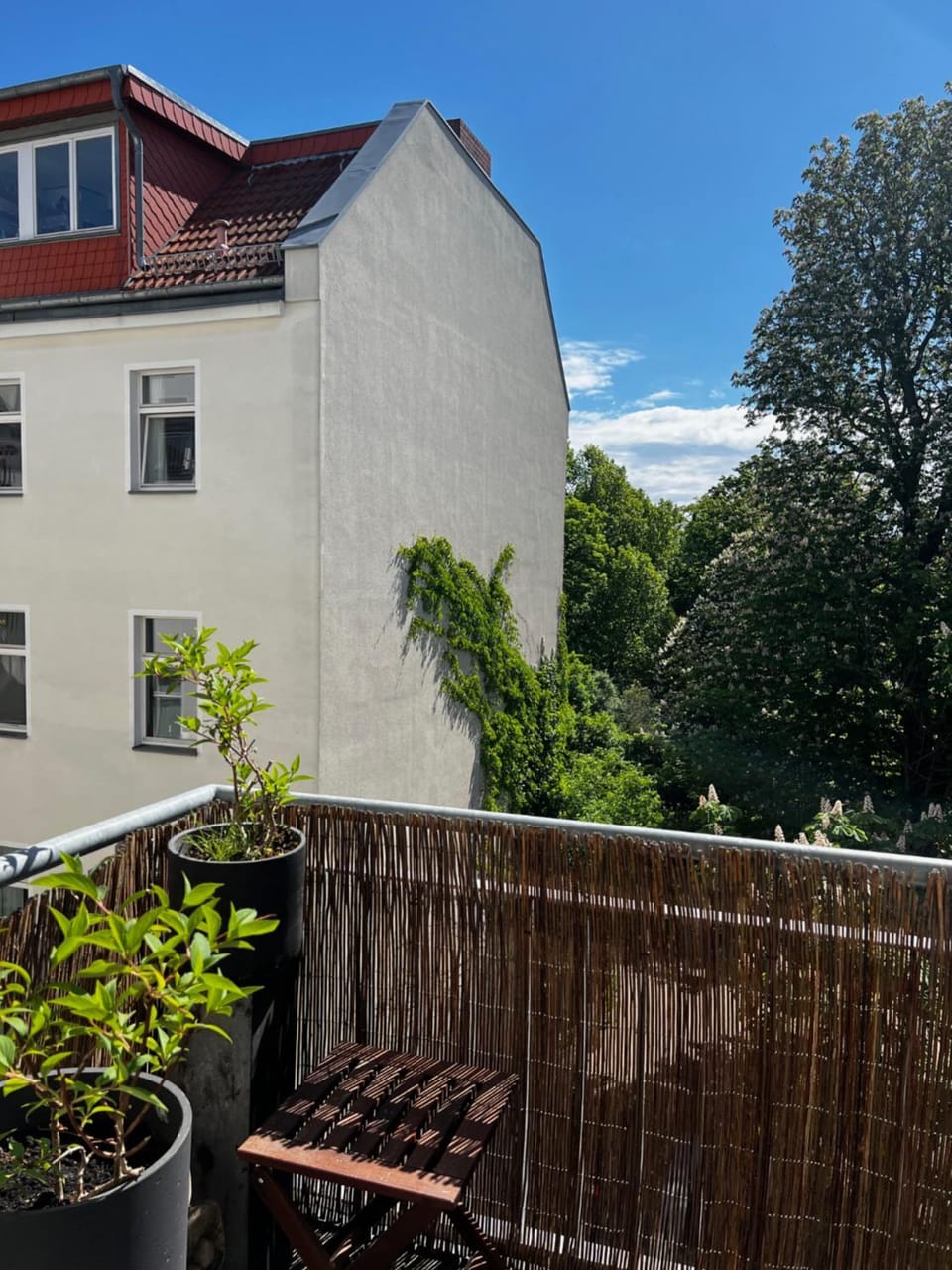 Garden view