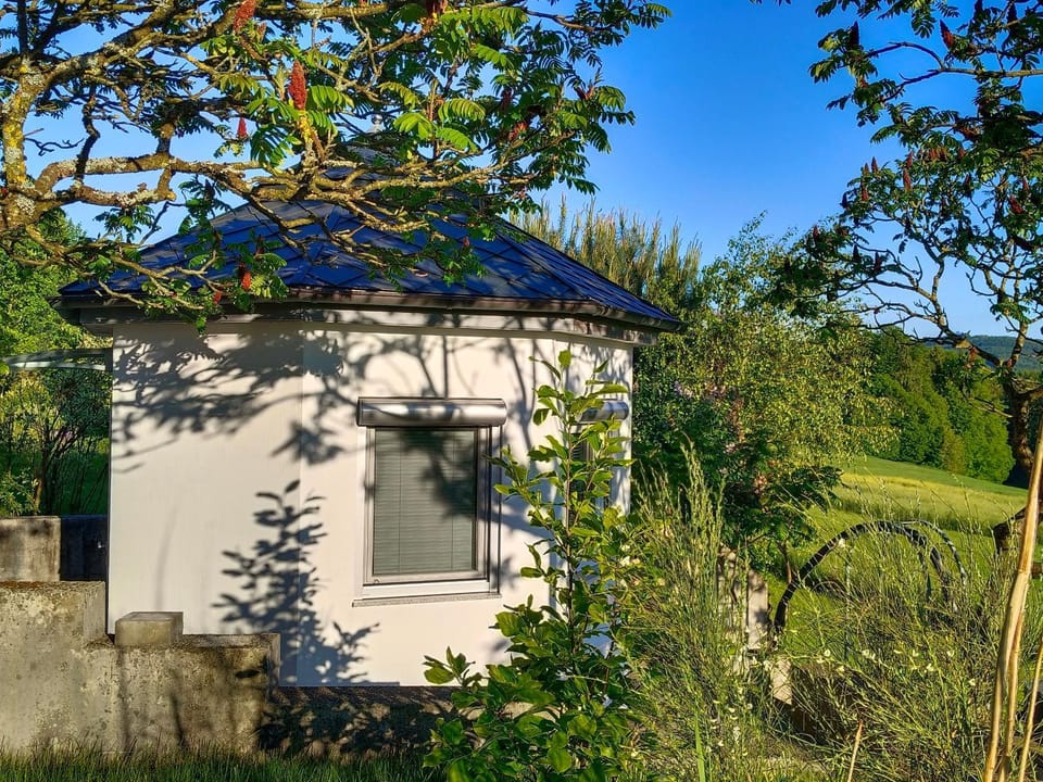 Single Tiny House Salzkammergut Chalet in Upper Austria