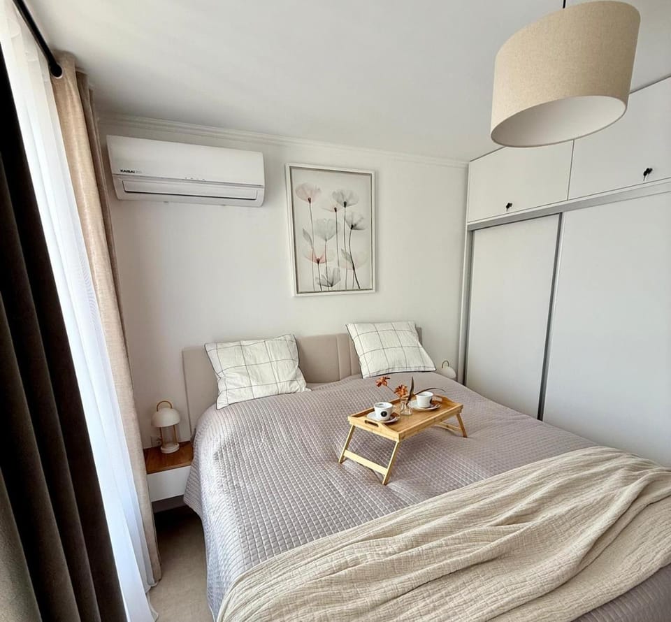 Bedroom, wardrobe, air conditioner