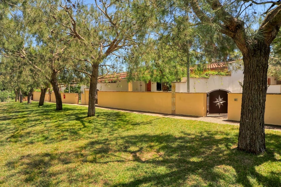 Property building, Natural landscape, Garden view