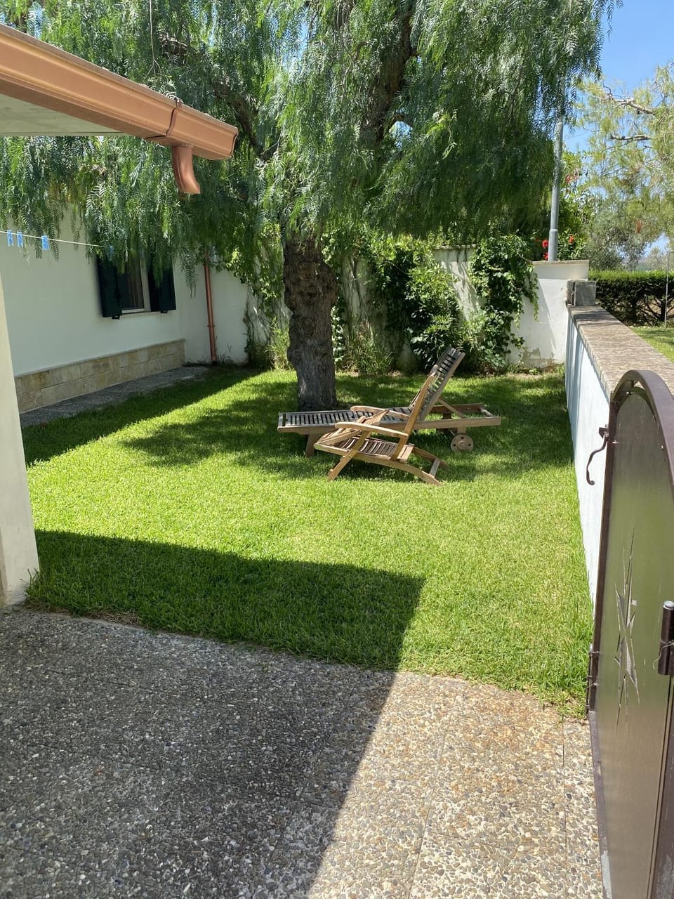 Patio, Garden, Garden