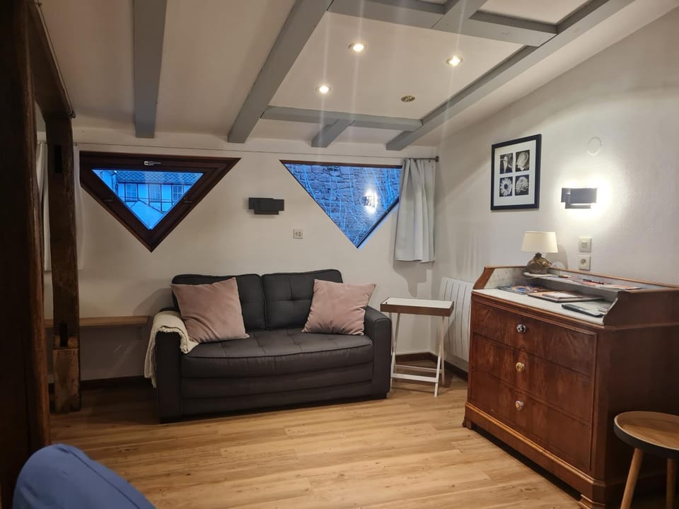 Studio chez Eve et Momo Apartment in Grand Est