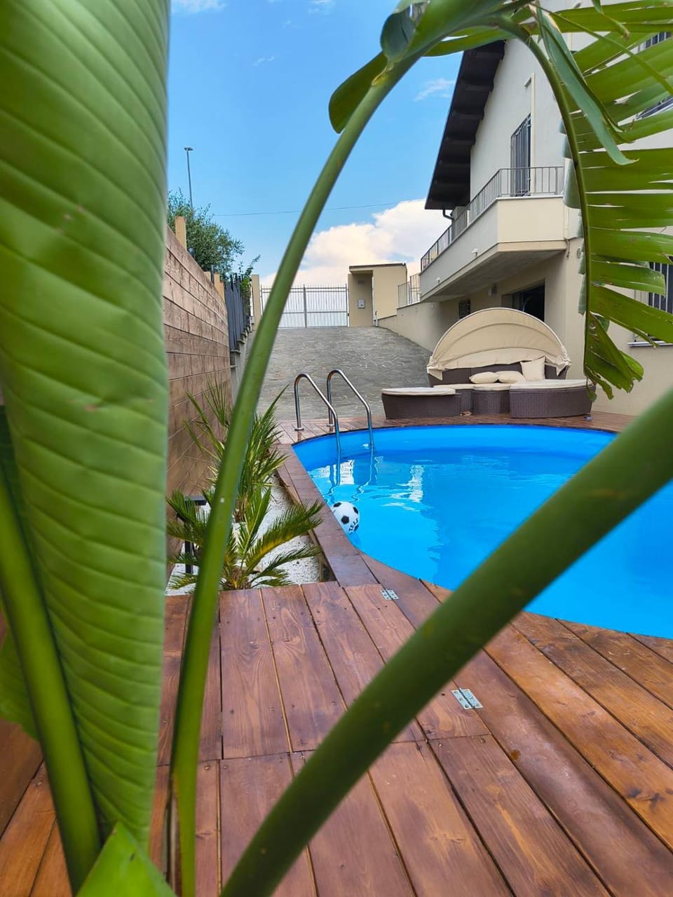 Swimming pool, sunbed