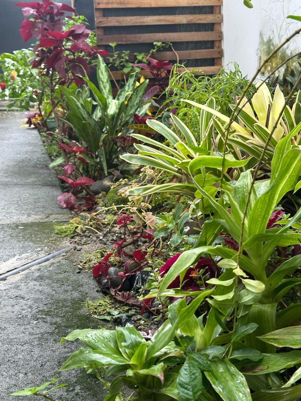 Inner courtyard view