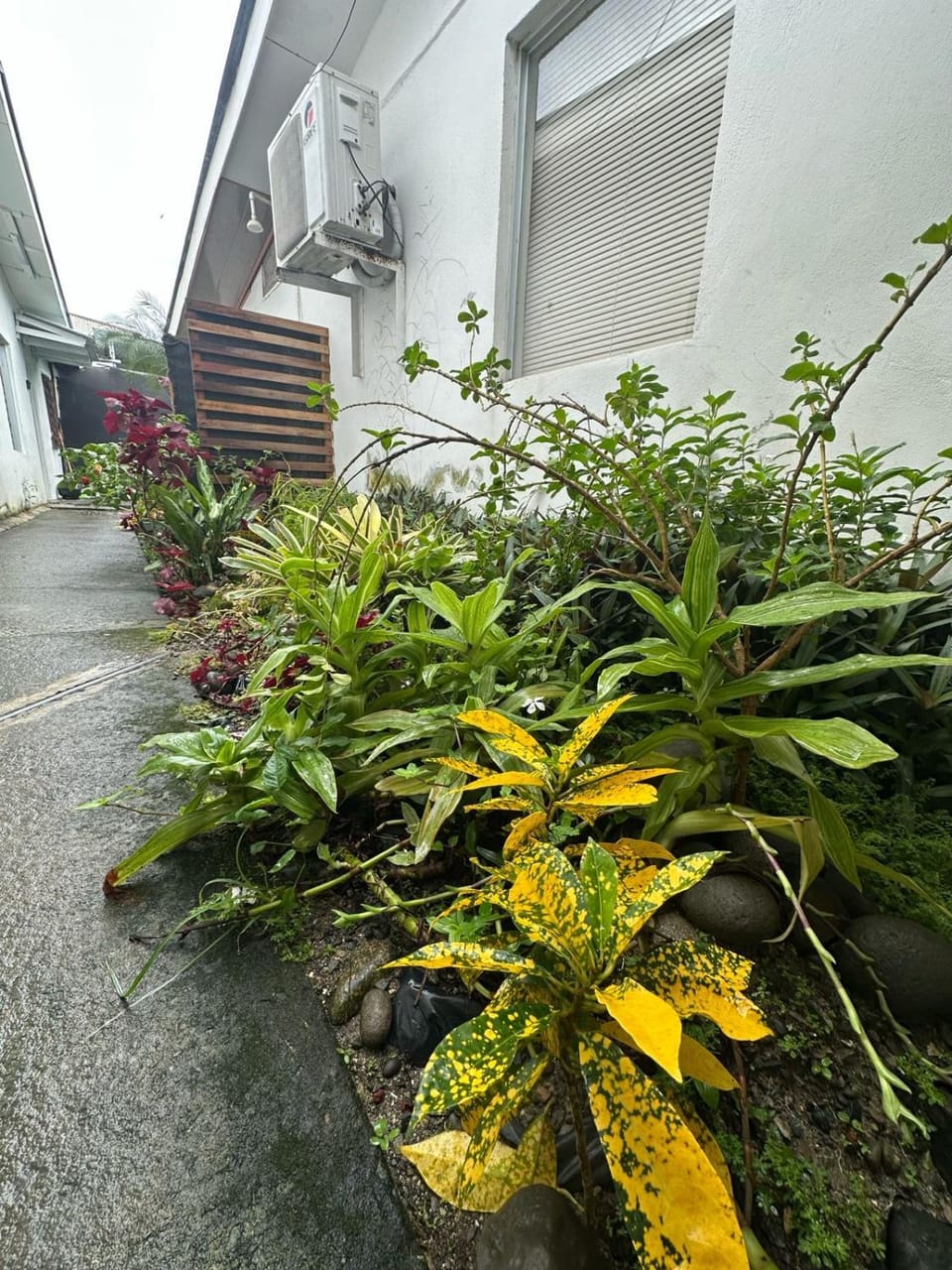 Inner courtyard view