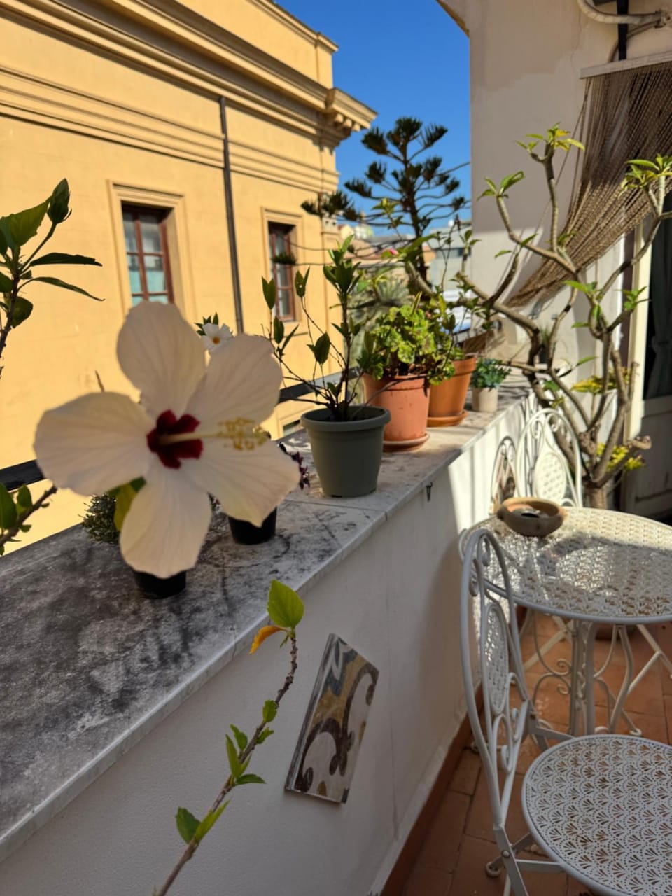 Balcony/Terrace