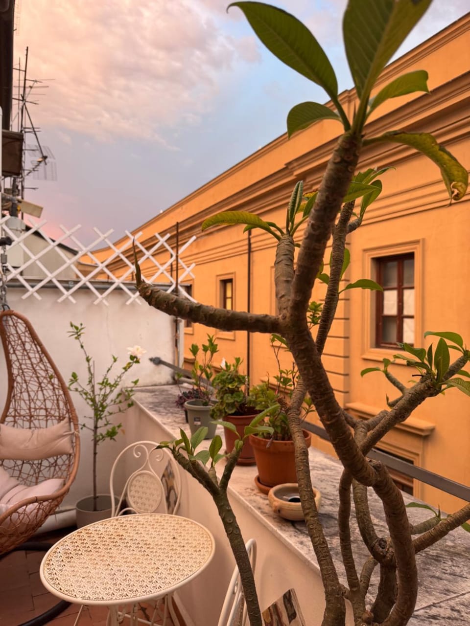 Dimora San Domenico Bed and Breakfast in Palermo