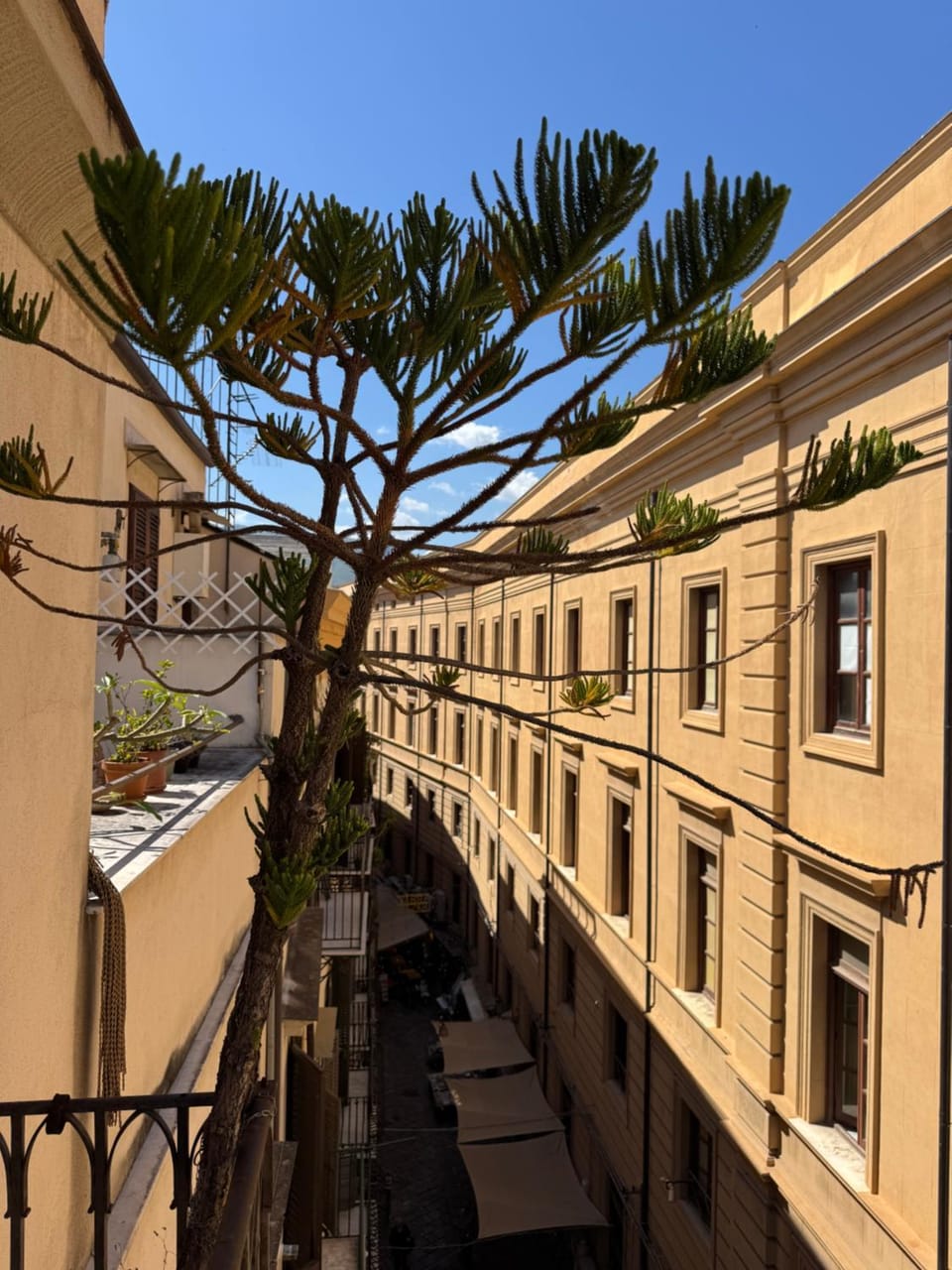 Dimora San Domenico Bed and Breakfast in Palermo