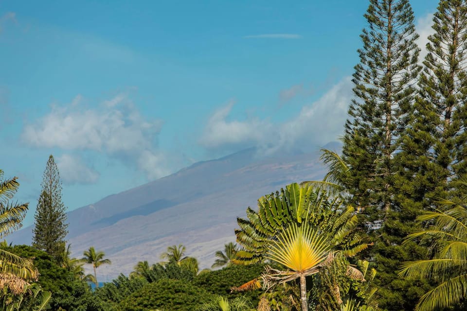 Palms at Wailea 2106 by Coldwell Banker Island Vacations Apartment in Wailea