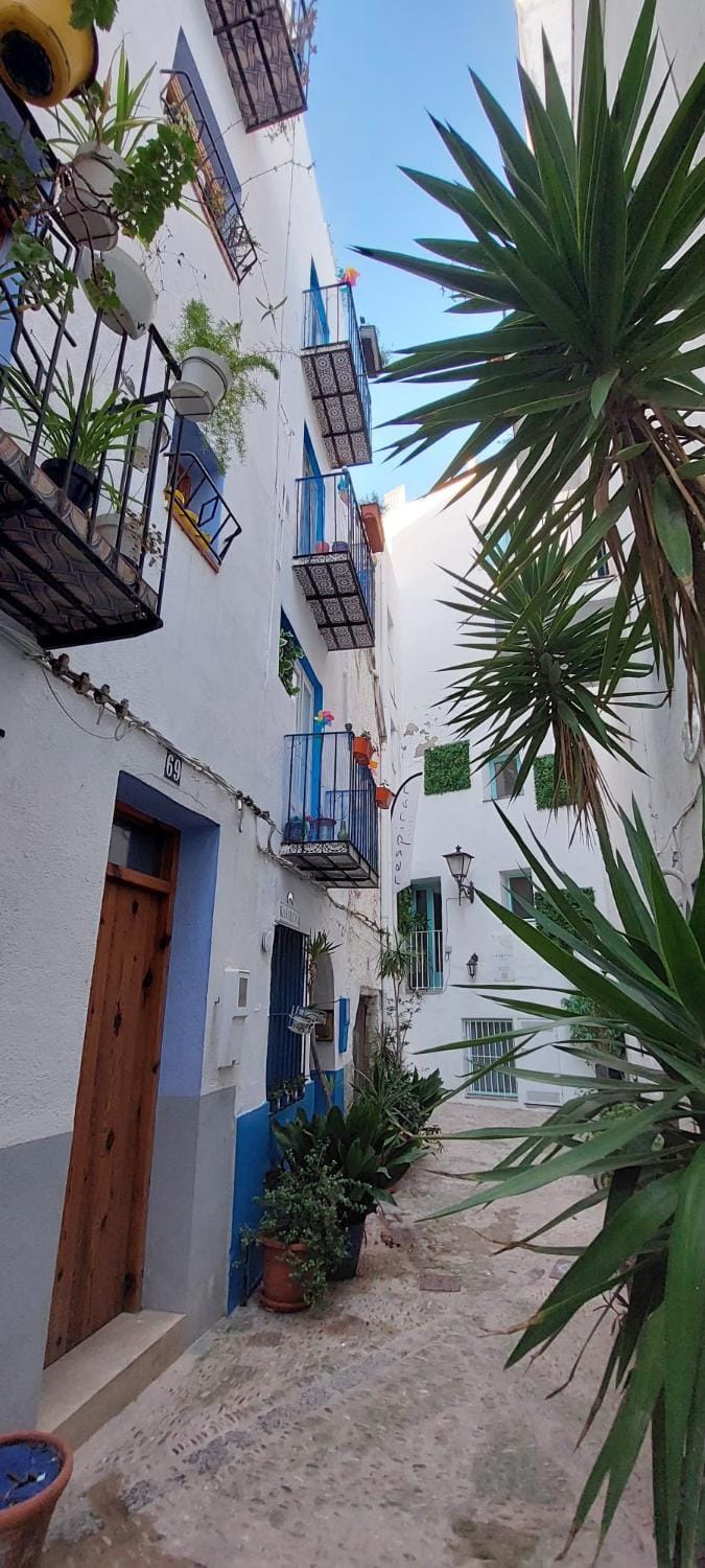 Property building, Day, Neighbourhood, Street view