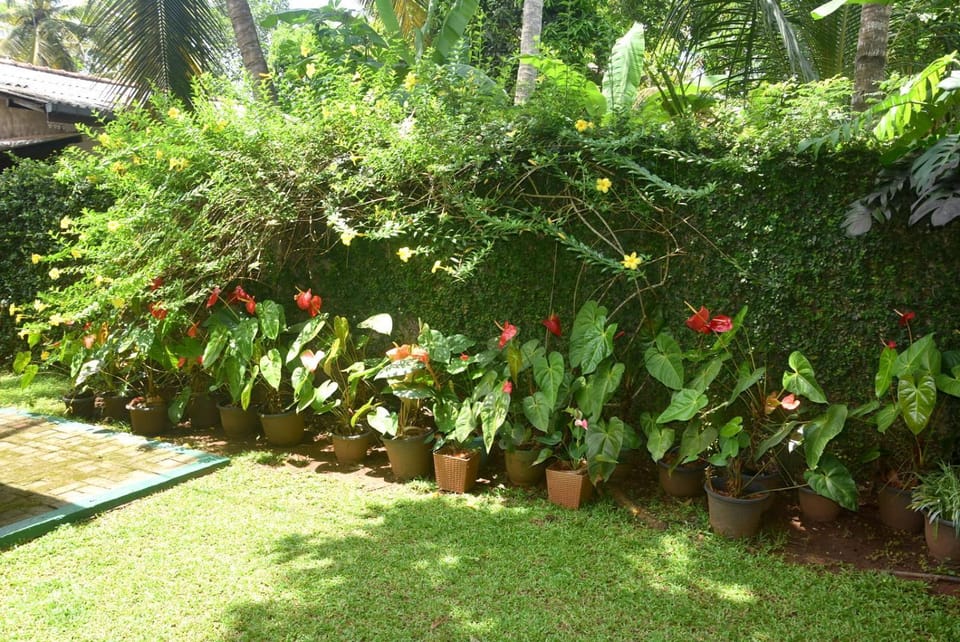 CFC Holiday Home Bed and Breakfast in Sri Lanka