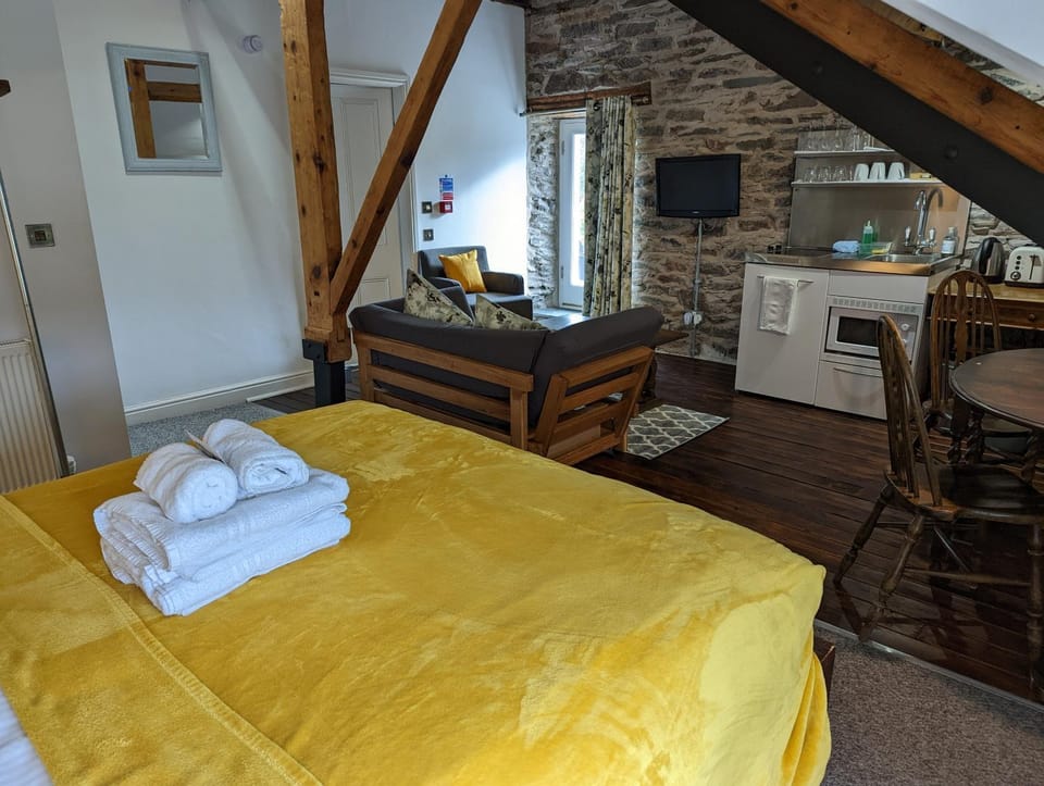 Bed, TV and multimedia, Kitchen or kitchenette, Photo of the whole room, Seating area