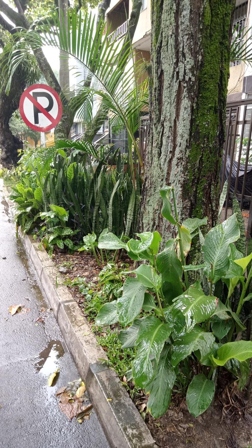 En el mejor punto de Medellín Apartment in Medellin