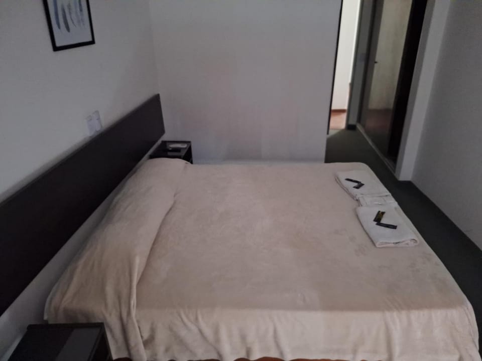 plaza room hotel Hotel in Termas de Río Hondo