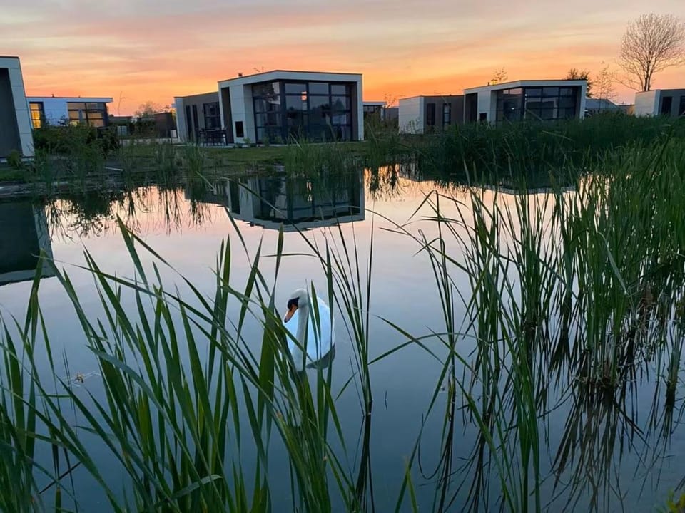 Marina Strandbad Chalet SunnyTides Haus Nr 36 House in Gelderland, Netherlands