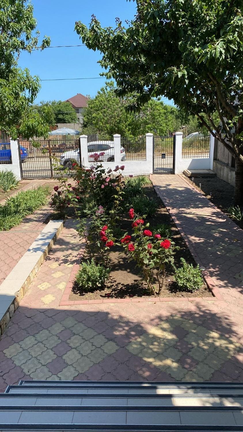 Casa Livia Bed and Breakfast in Constanța County