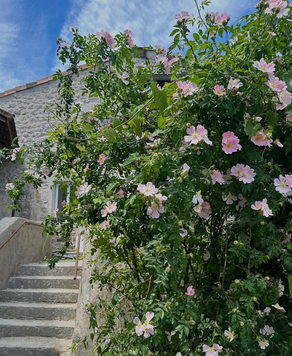 Gîte du Hameau maison de caractère 3 chambres Vogüé House in Provence
