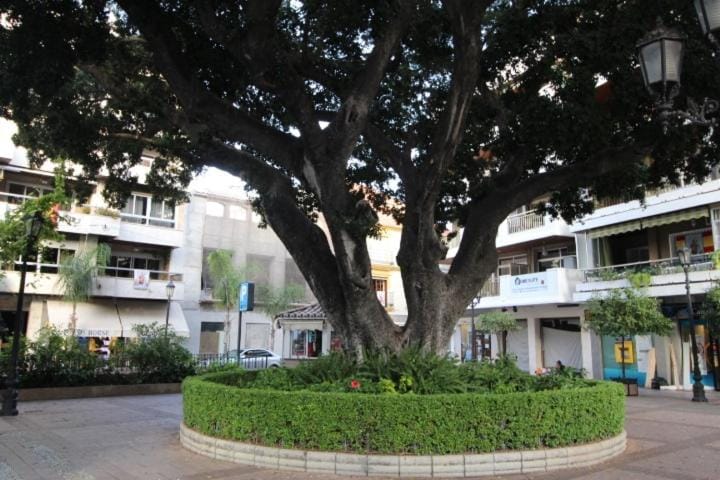 Centro y playa Apartment in Fuengirola
