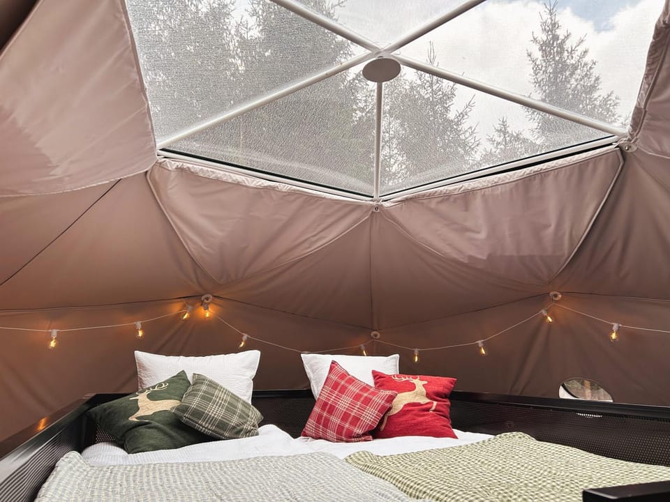Bed, bunk bed
