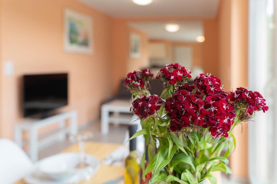 TV and multimedia, Decorative detail, Dining area