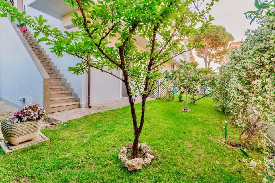 Pinohaus House in Ladispoli